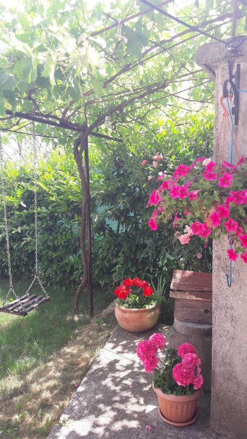 Holiday Home Ivana Pasjak المظهر الخارجي الصورة
