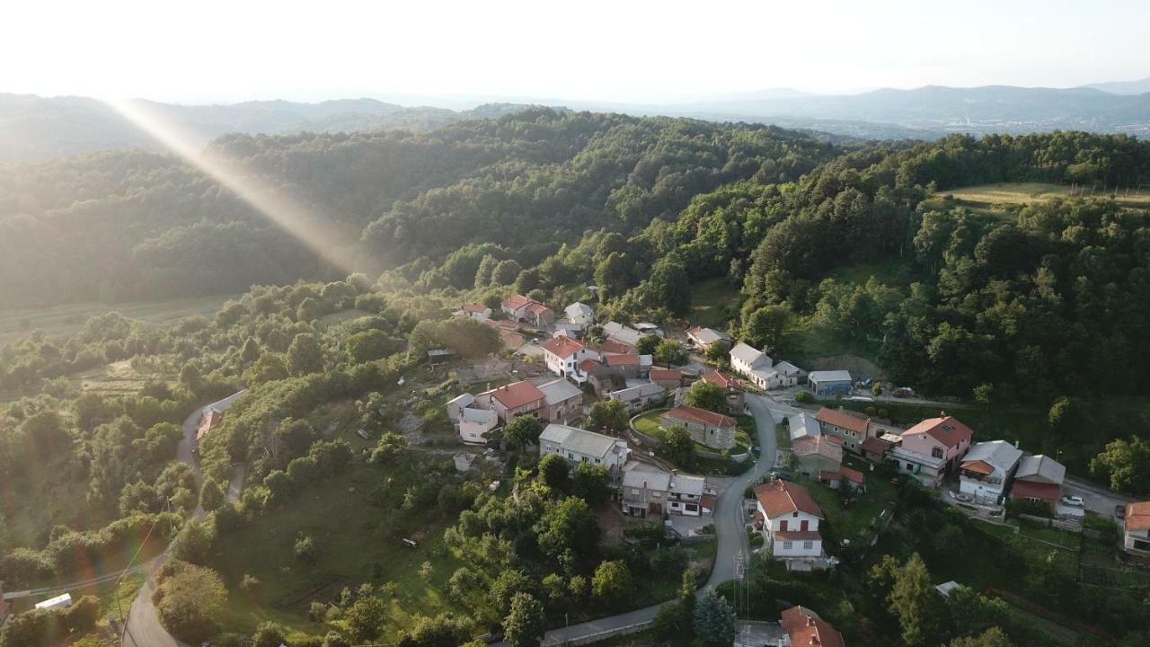 Holiday Home Ivana Pasjak المظهر الخارجي الصورة